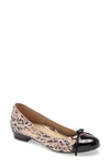 Ara Belinda Ballet Flat In Black/ Leopard Print Leather