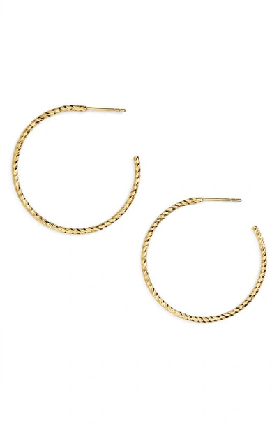 Argento Vivo Textured Hoop Earrings In Gold Vermeil