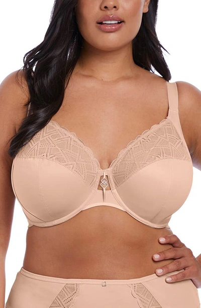 Elomi Lydia Full Figure Underwire Convertible Bra In Cameo Rose