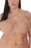 Elomi Full Figure Charley Stretch Lace Bra El4382, Online Only In Fawn