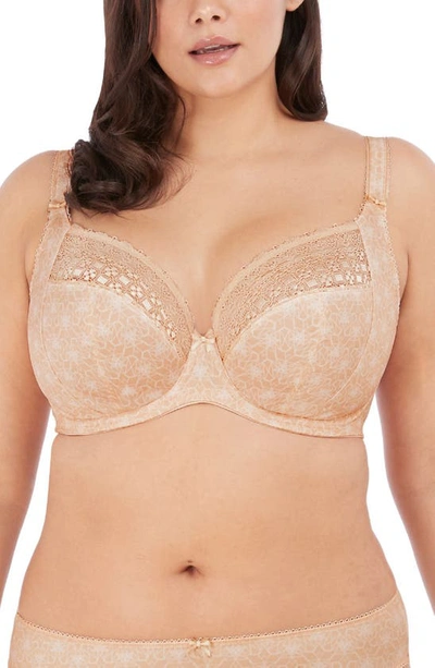 Elomi Women's Full Figure Kim Underwire Plunge Stretch Lace Bra El4340 In Caramel