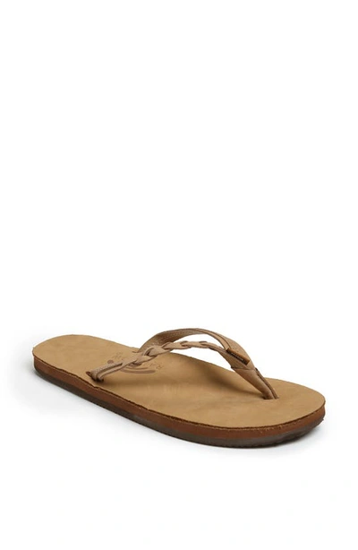 Rainbowr Rainbow 'flirty' Braided Leather Flip Flop In Sierra Brown