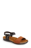 Naot 'sabrina' Sandal In Black/ Brown