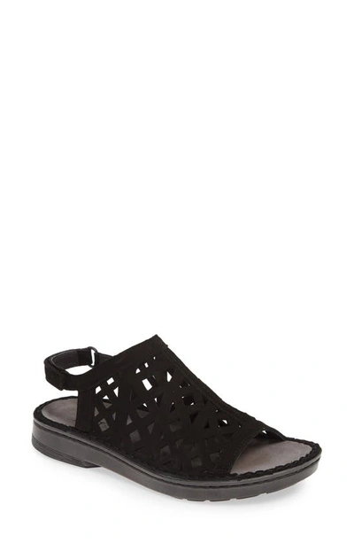 Naot Amadora Slingback Sandal In Black Velvet