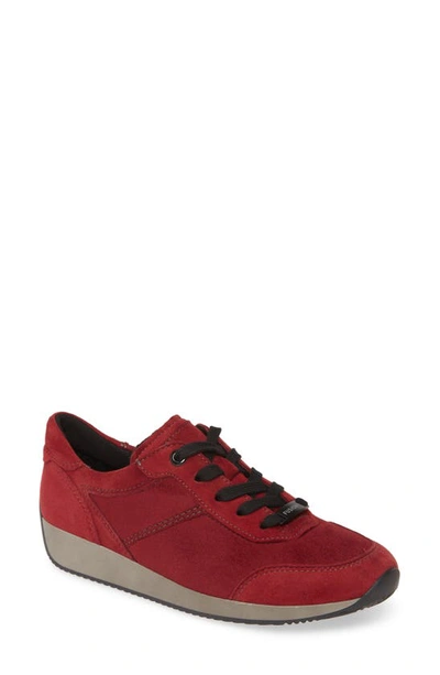Ara Lana Sneaker In Cardinal Suede