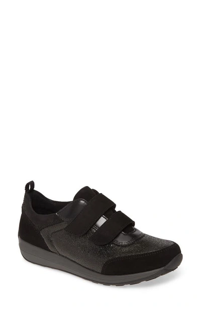 Ara Lana Sneaker In Black Suede
