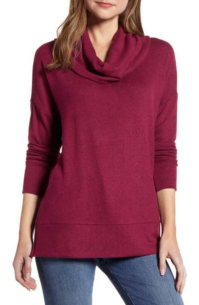 Loveappella Cowl Neck Long Sleeve Top In Burgundy