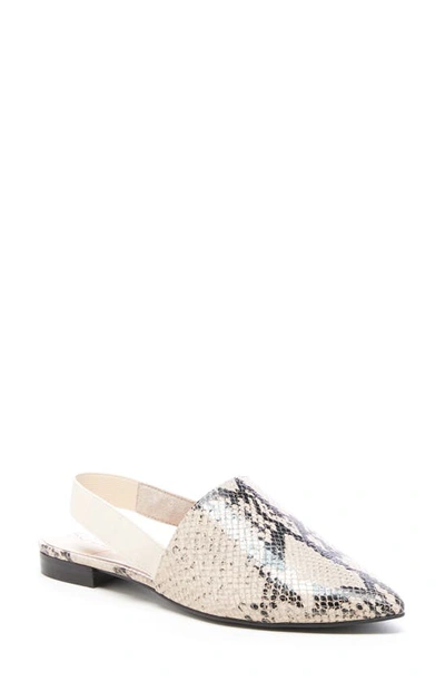 Sole Society Kaniesa Slingback Flat In Natural Multi Suede