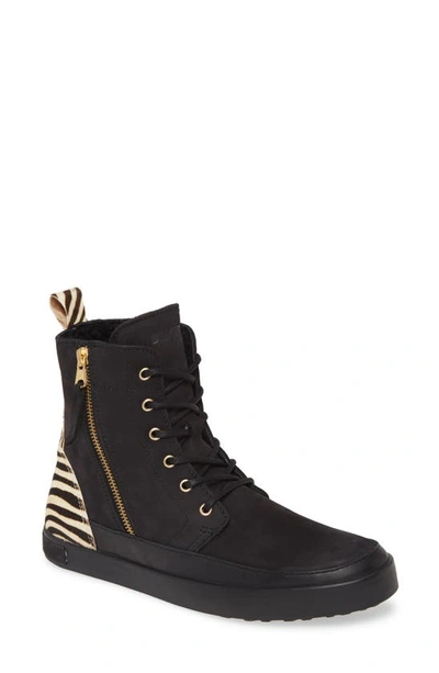 Blackstone 'cw96' Genuine Shearling Lined Sneaker Boot In Black Zebra Print Leather