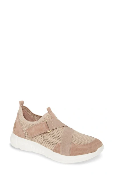 Otbt Vicky Sneaker In Mauve Suede
