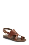 Sarto By Franco Sarto Gia Sandal In Chocolate Antanado