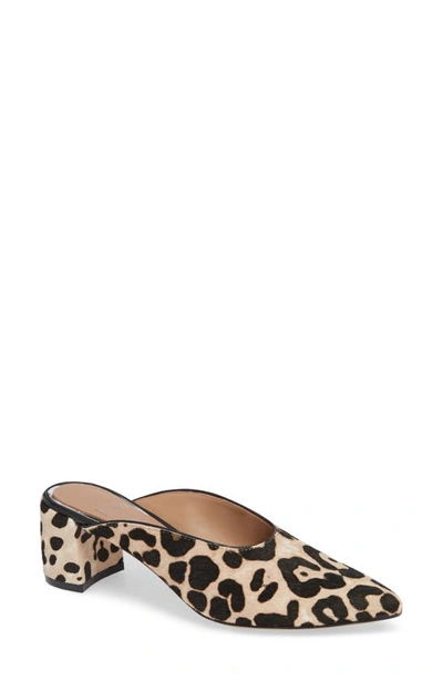 Linea Paolo Zadie Ii Genuine Calf Hair Mule In Leopard Haircalf