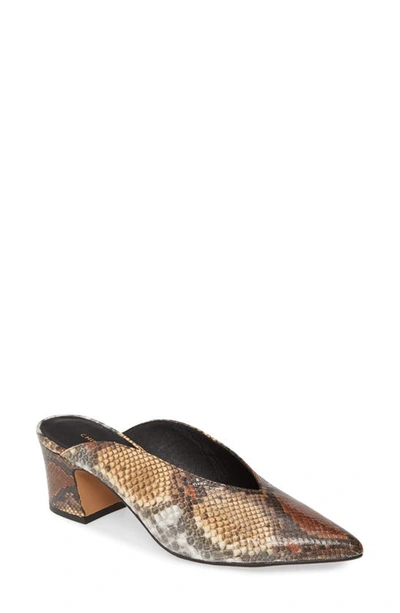 Chinese Laundry Pollie Mule In Yellow/ Brown Snake Print
