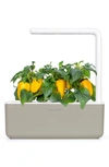 Click & Grow Smart Garden 3 Self Watering Indoor Garden In Beige