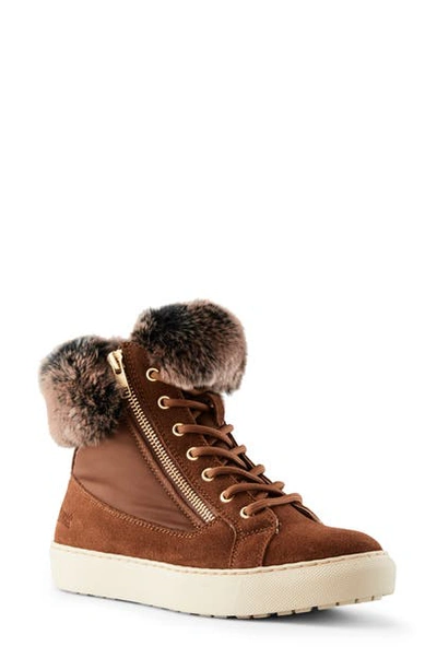 Cougar Danica Sneaker Boot With Genuine Rabbit Fur Trim In Chestnut Suede