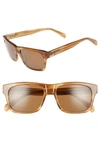 Brightside Wilshire 55mm Square Sunglasses In Cedar/ Brown