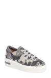 Linea Paolo Kruz Platform Sneaker In White/ Grey Suede