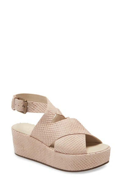 Amuse Society X Matisse Runaway Wedge Sandal In Blush Snake Print Leather ModeSens