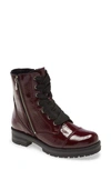 Bos. & Co. Paulie Waterproof Lace-up Bootie In Bordeaux Patent Leather