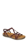 Naot Women's Dorith Sandal In Bordeaux In Bordeaux Leather