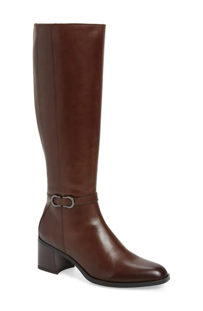 Naturalizer Sterling Knee High Boot In Chocolate Leather
