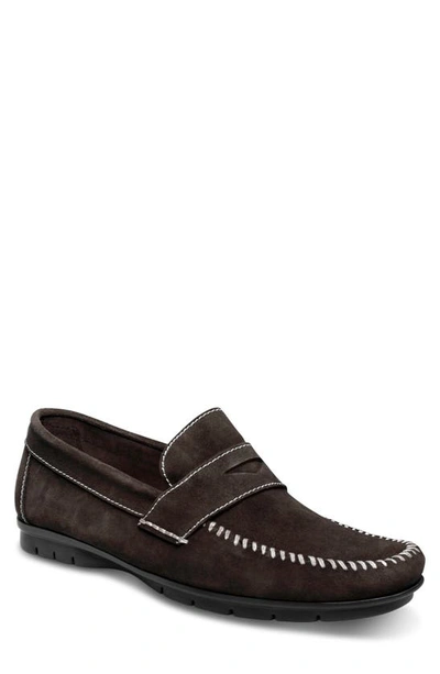 Sandro Moscoloni Miguel Driving Shoe In Brown
