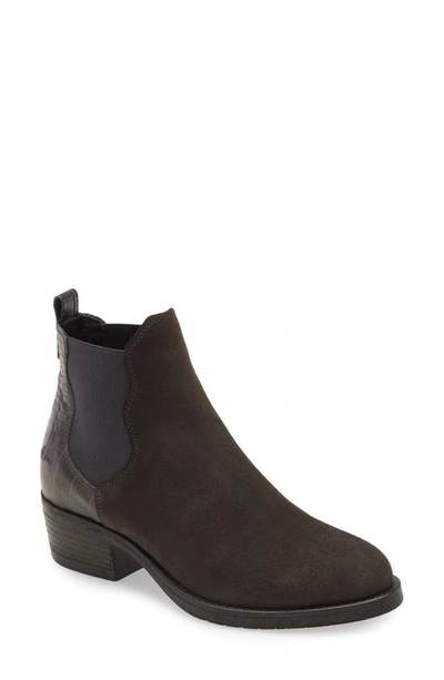 Bos. & Co. Emery Suede Waterproof Chelsea Boot In Grey Suede