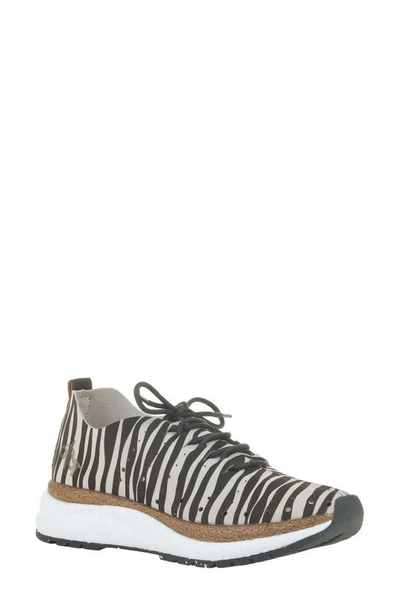 Otbt Alstead Perforated Sneaker In Zebra Print Suede