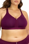 Curvy Couture Cotton Luxe Wire-free Bra In Purple Velvet