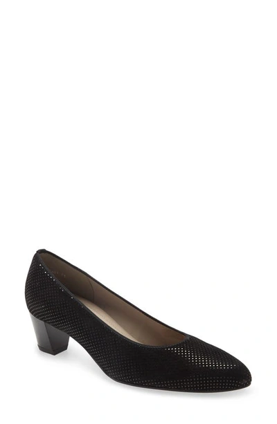 Ara Kelly Pump In Black Punti Suede