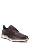 Ecco St.1 Hybrid Wingtip In Syrah Leather