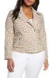 Adyson Parker Animal Print Moto Jacket In Classic Leopard Combo