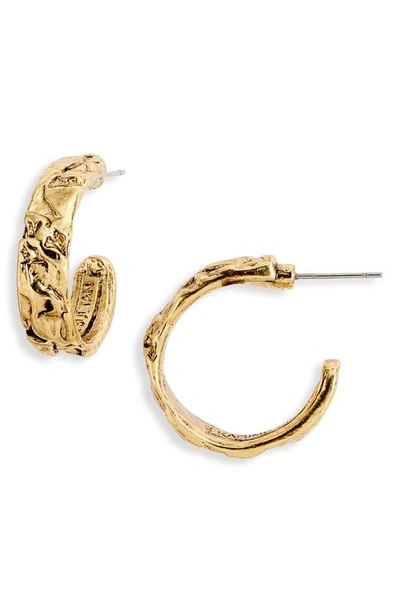 Karine Sultan Small Crinkle Hoop Earrings In Gold