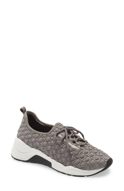 Linea Paolo Rodger Sneaker In Grey Padded Fabric