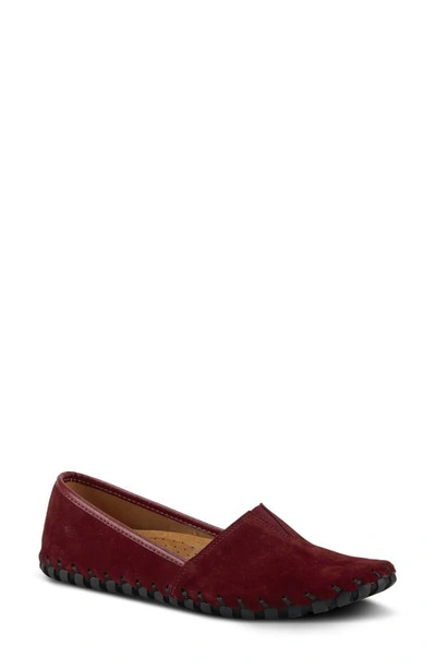 Spring Step Kathaleta Flat In Bordeaux Suede