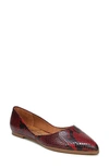Zodiac Hill Snake Embossed Pointed Toe Flat In Red Leather
