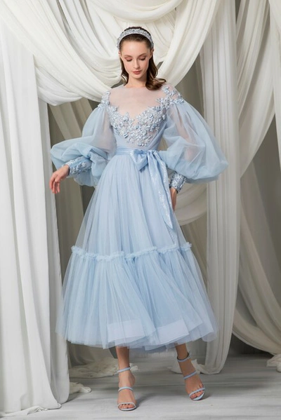 Tony Ward Long Sleeve Edwardian Tulle Dress