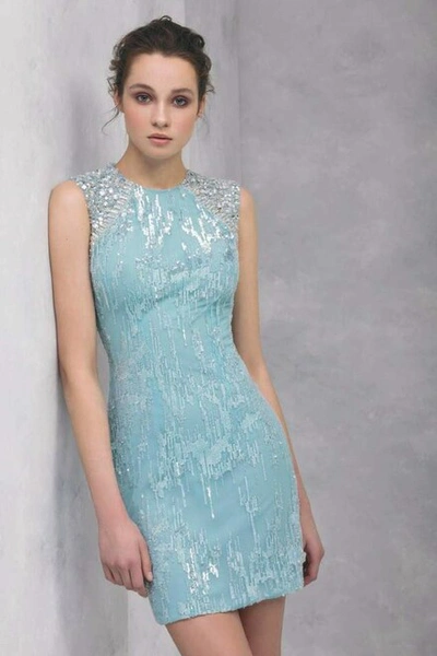 Tony Ward Sleeveless Embroidered Tulle Cocktail Dress