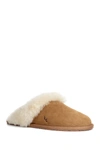 Koolaburra By Ugg Milo Genuine Shearling Scuff Slipper In Chestnut