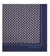 Ferragamo Frog And Lion Silk Pocket Square In Navy