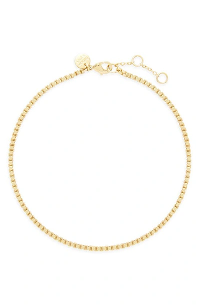 Brook & York Emma Box Chain Anklet In Gold