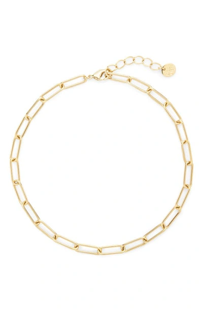 Brook & York Colette Cable Chain Anklet In Gold