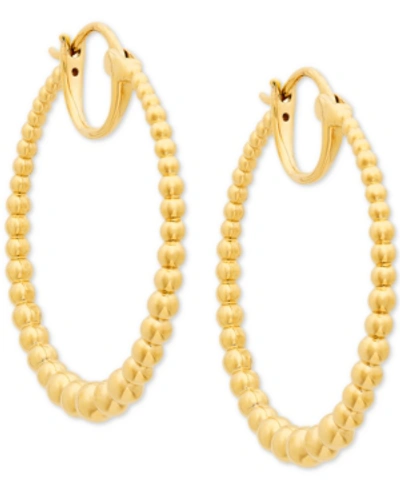 Ava Nadri Medium Graduated Bead Hoop Earrings, 1.25" In Gold