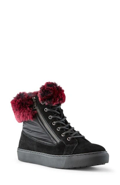 Cougar Danica Sneaker Boot With Genuine Rabbit Fur Trim In Black Suede