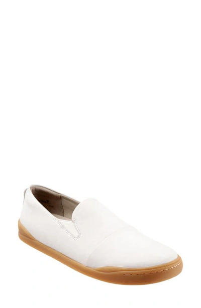 Softwalkr Alexandria Sneaker In White Leather