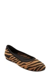 Softwalkr Sonora Flat In Black/ Tiger Faux Leather