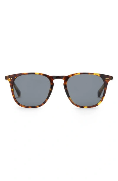 Diff Maxwell 49mm Polarized Round Lens Sunglasses In Amber Tortoise/ Grey