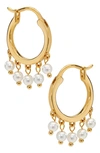 Ajoa Shaker Imitation Pearl Huggie Hoop Earrings In Gold