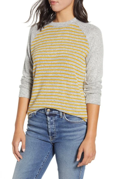 Loveappella Raglan Sleeve Knit Top In H Gray/ Mustard