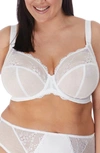 Elomi Full Figure Charley Stretch Lace Bra El4382, Online Only In White